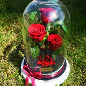 City Flowers galeria