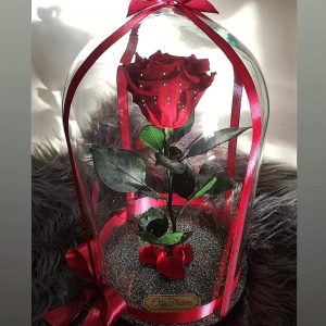 City Flowers galeria