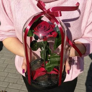 City Flowers galeria