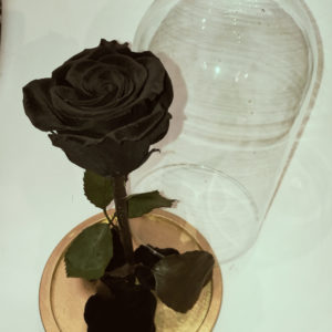 City Flowers galeria