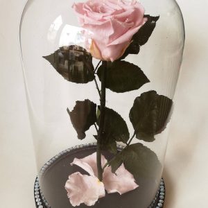City Flowers galeria